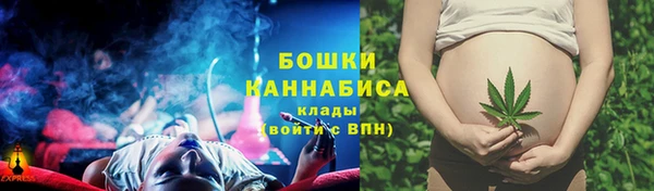крисы Майский