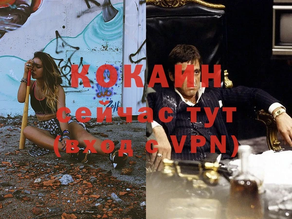 крисы Майский