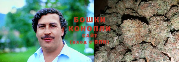 крисы Майский
