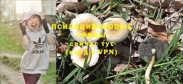 каннабис Магас