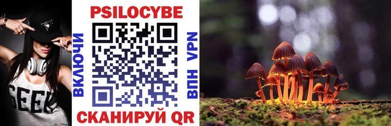 Псилоцибиновые грибы Psilocybine cubensis Купить где Москва